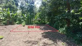INVESTASI TANAH SHM MURAH, KEDUNGSARI, PURWOREJO