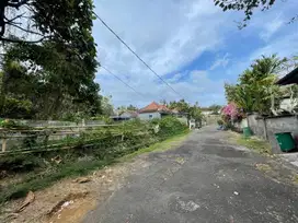 Dijual Cepat Tanah River View Desa Pering Kec. Blahbatuh Gianyar