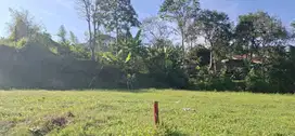 Jual Tanah Luas 553m2 Megamendung Puncak Bogor