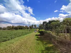 Dijual Tanah Kavling Rapih Di Pinggir Jalan Raya Parung Bogor
