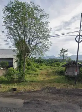 Dijual Tanah Luas Strategis Cocok untuk Investasi Di Jembrana Bali
