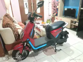 SELIS PACIFIC.. Syncros 8.0