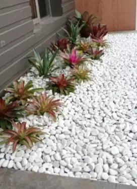 Terima jasa.  Pasang taman kering