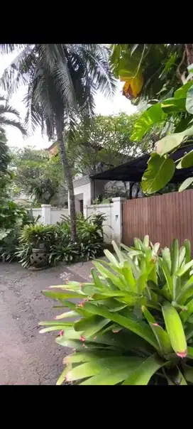 Dijual Rumah Mewah di River Park Bintaro Sektor 6