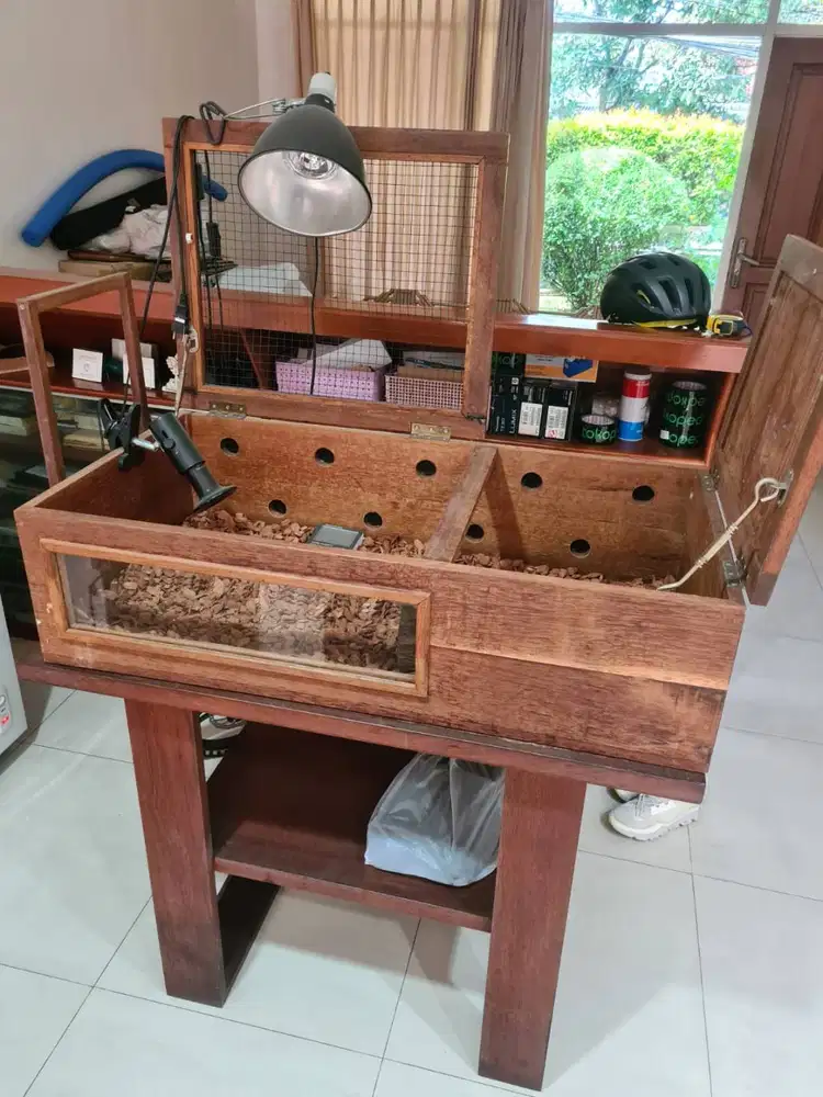 Rumah Reptil Kokoh
