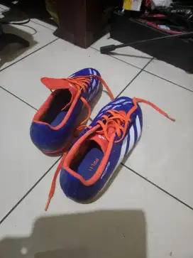 Adidas predator