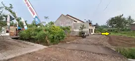 Tanah SHM Pakisjajar Timur Pasar Pakis Malang 13 x 13 = 169m2