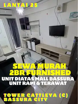 SEWA MURAH BANGET 2BR FURNISHED TOWER C DIATAS MALL BASSURA CITY