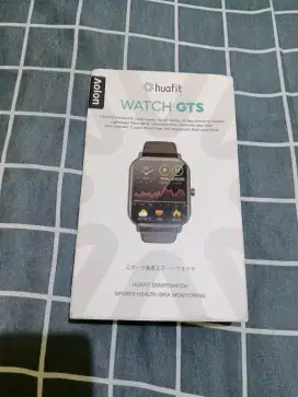 Jam Tangan Aolon Huafit Watch GTS