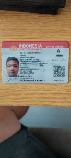 Driver / sopir pribadi