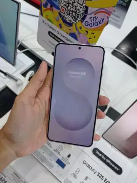 Samsung Galaxy S25