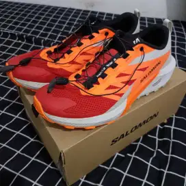 Salomon Sense Ride 5 Lunar Rock