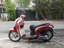 Honda scoopy f1 2013