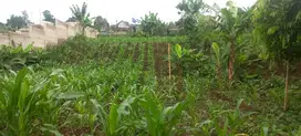 Dijual Tanah Kavling di Ngamprah, dekat Kantor DPRD Bandung Barat