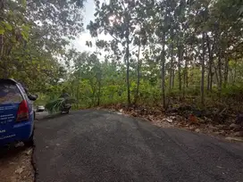 MILIKI TANAH DI SAPTOSARI KABUPATEN GUNUNGKIDUL YOGYAKARTA