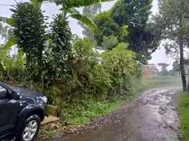 jarng ada Dijual Tanah barunagri Lembang Dkt Parongpong Cisarua Cimahi