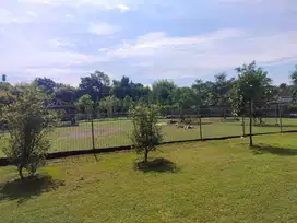 DIJUAL TANAH LUAS 1974 M2 DEKAT JOGJA BAY HARGA NEGO