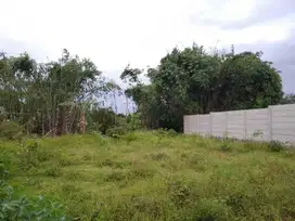 Dijual Tanah Kavling Murah, Area dekat Taman Buah Mekarsari, Legalita