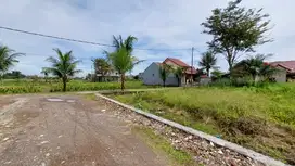 Bisa Dicicil 12x Bunga 0% Tanah Kavling Dekat STI Triguna Bogor