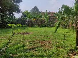 Jual murah tanah di Bogor Timur.