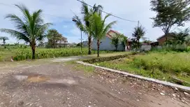 Jangan Lewatkan Kesempatan Tanah Kavling sisa 1 Unit Hanya 2 Jt an