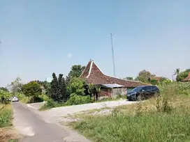 Investasi Menarik: Tanah 153m² Dekat Jl. Damai. View Sawah. 4.8 Jt/m²