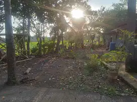Dijual tanah pekarangan view sawah dimatesih perbatasan karanganyar