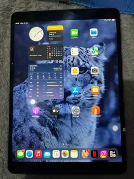 Apple Ipad Air 3 Wifi cell