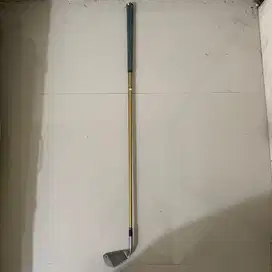 Stick Golf W Wedges Pro King LIKE NEW