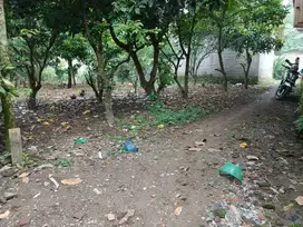 TANAH MURAH DEKAT JALAN PROVINSI