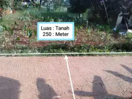 Di Jual Cepat Tanah Murah