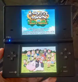 Ndsi Nintendo DSi Isi 230 Game
