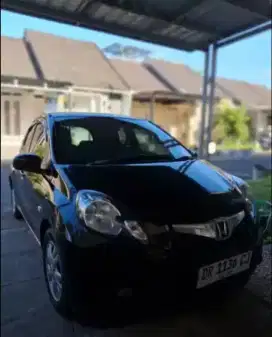 Brio Satya E manual 2014