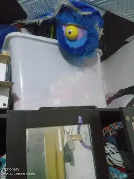 Box container putih