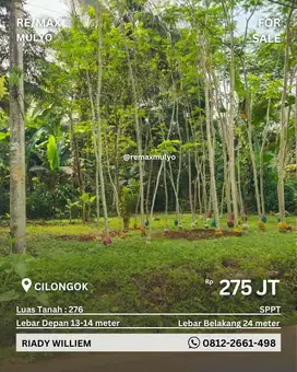 Dijual Tanah Murah Area Cilongok