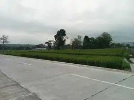 Tanah pertanian subur view indah dimatesih