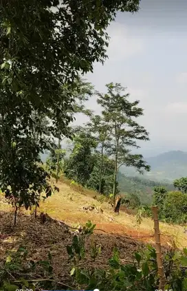 Over lahan garapan