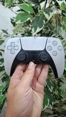 PS5 / PS 5 / PLAYSTATION 5 / DUALSENSE / DUALSENSE PS5 / STICK PS5