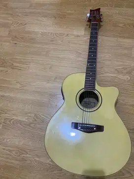 Gitar Accoustic ( ibanez)