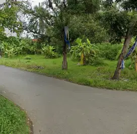 Tanah SHM super strategis dekat Alun-alun Sidareja Cilacap
