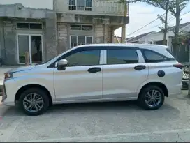 Xenia x 1.3  2022
