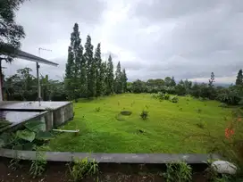 Jual Tanah Caringin Bogor 5 Ha, SHM, 6 Km  Pintu Tol Caringin