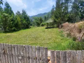 Tanah Cibodas Lembang Cocok untuk Villa atau Guest House
