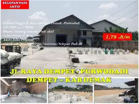 Tanah Selepan Padi & Gudang (Aktif) Jl. Raya Dempet Demak dkt Semarang
