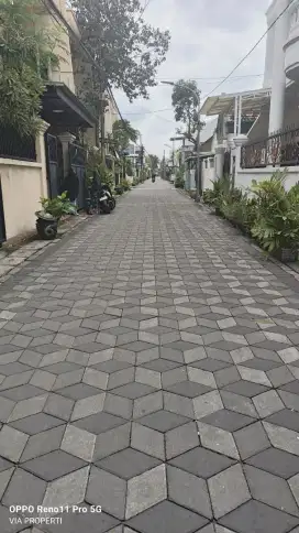 Tanah usaha Lebak rejo
