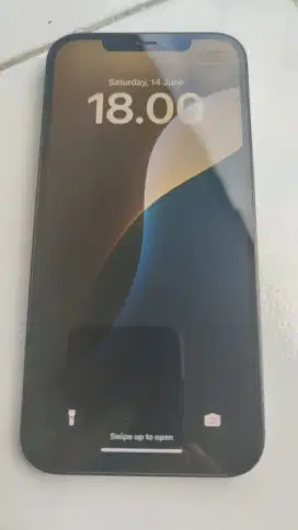 Apple iPhone 12 Pro Max