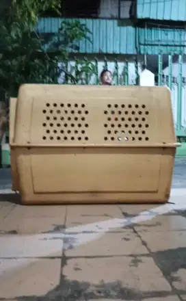 Kennel box jumbo / pet cargo