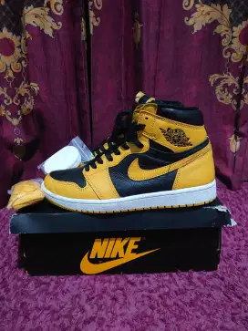 Nike Air Jordan Retro High Pollen