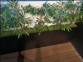 Pot Partisi Pembatas Tembok Pohon Bambu Plastik Bekas Resto Ex Cafe