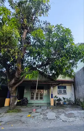 Rumah Lama Nyaman Luas Dan Murah 229m² di Pucangan Kartosuro